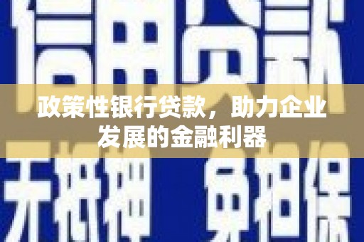策勒政策性银行贷款，助力企业发展的金融利器