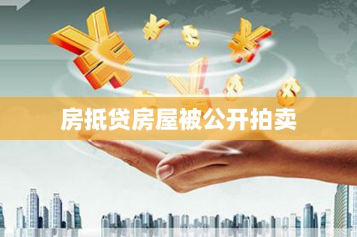 嵩县房抵贷房屋被公开拍卖