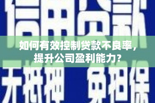 沣东如何有效控制贷款不良率，提升公司盈利能力？