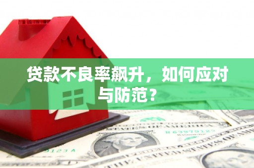 东昌贷款不良率飙升，如何应对与防范？