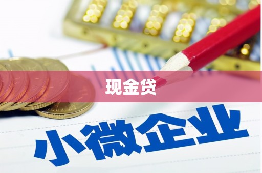 武都现金贷