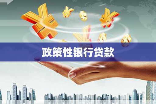 石林政策性银行贷款