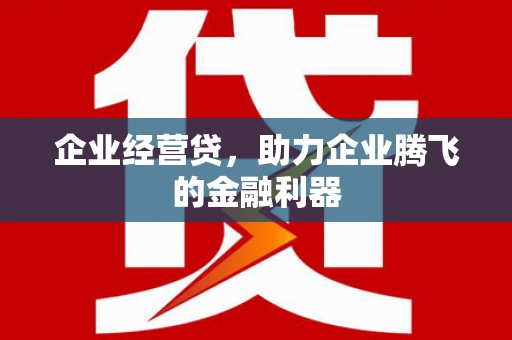 潮南企业经营贷，助力企业腾飞的金融利器