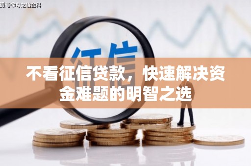苗栗不看征信贷款，快速解决资金难题的明智之选