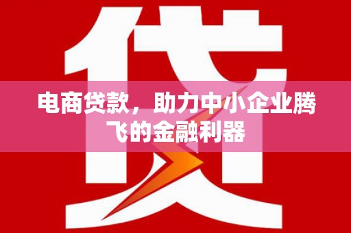 利津电商贷款，助力中小企业腾飞的金融利器