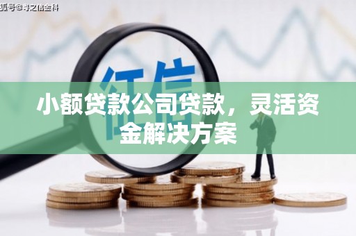 利津小额贷款公司贷款，灵活资金解决方案