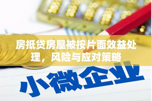 衡南房抵贷房屋被按片面效益处理，风险与应对策略