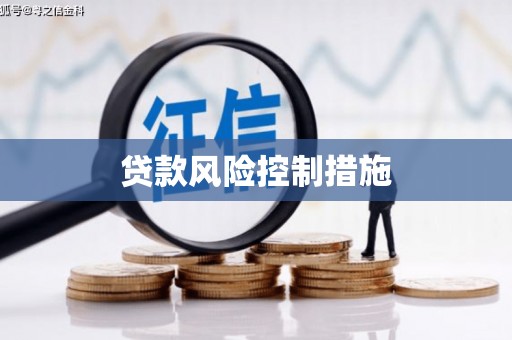临洮贷款风险控制措施