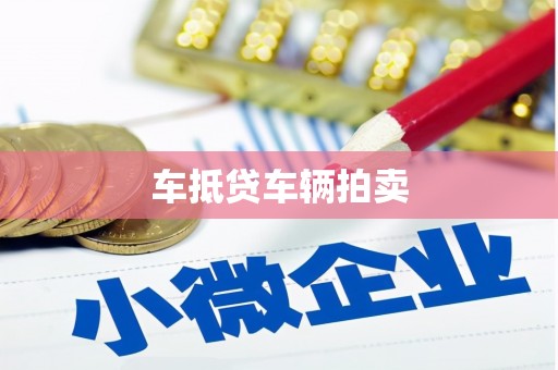 南丰车抵贷车辆拍卖