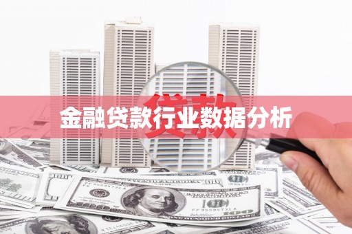 西螺金融贷款行业数据分析