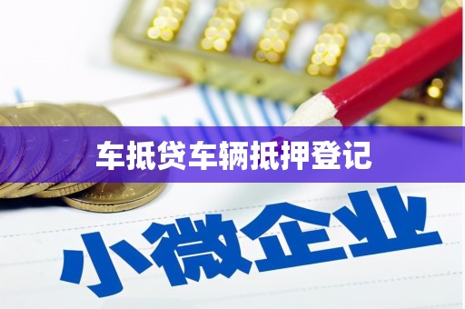 雷山车抵贷车辆抵押登记