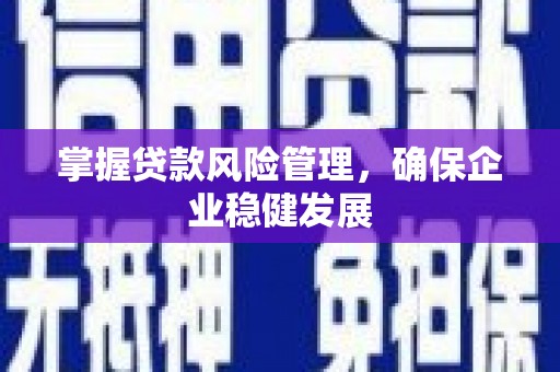 昌乐掌握贷款风险管理，确保企业稳健发展
