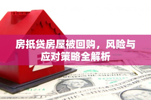 宝兴房抵贷房屋被回购，风险与应对策略全解析