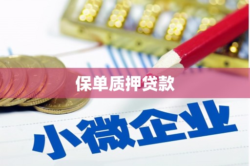 铅山保单质押贷款
