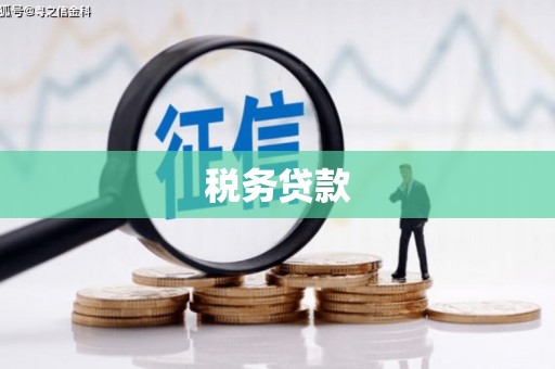 武功税务贷款