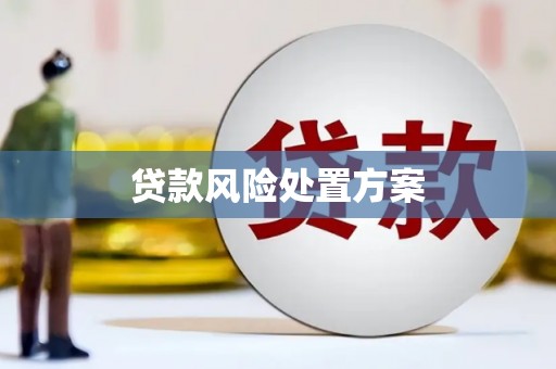 浚县贷款风险处置方案