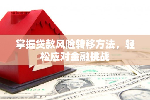 斗六掌握贷款风险转移方法，轻松应对金融挑战