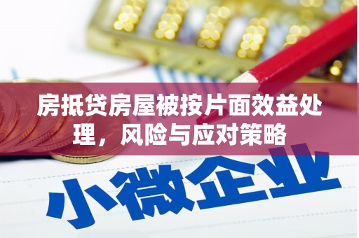 恩施房抵贷房屋被按片面效益处理，风险与应对策略