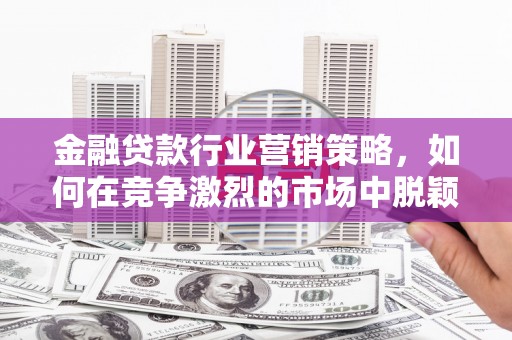 田寮金融贷款行业营销策略，如何在竞争激烈的市场中脱颖而出