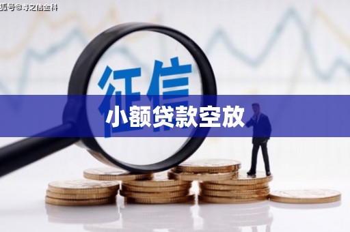 陈仓小额贷款空放