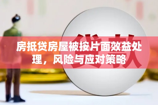 定南房抵贷房屋被按片面效益处理，风险与应对策略