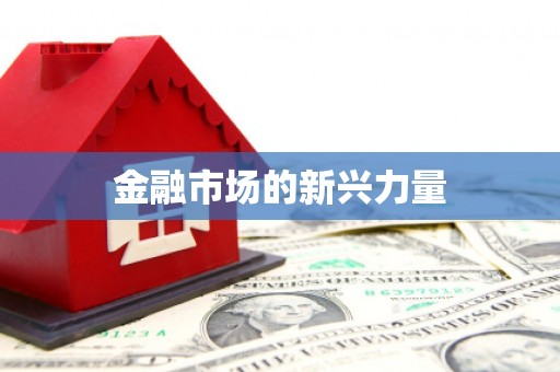 江口金融市场的新兴力量