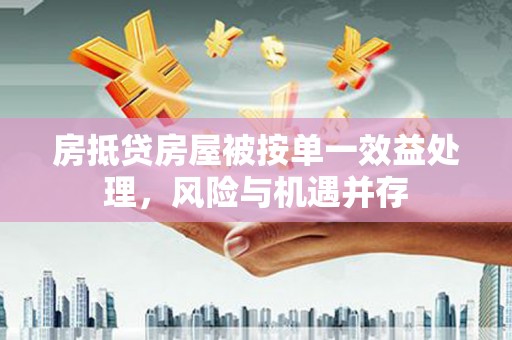 融水房抵贷房屋被按单一效益处理，风险与机遇并存