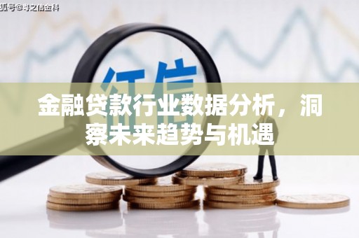 融水金融贷款行业数据分析，洞察未来趋势与机遇
