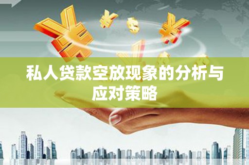 湖北私人贷款空放现象的分析与应对策略