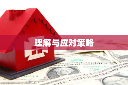新城理解与应对策略