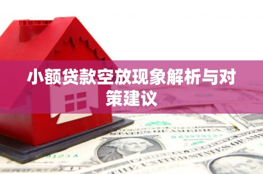 新城小额贷款空放现象解析与对策建议