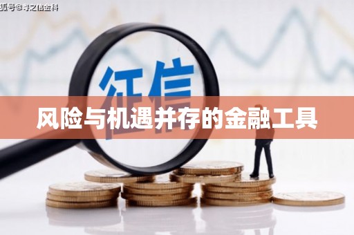 盐湖风险与机遇并存的金融工具