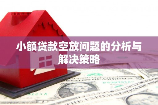秀英小额贷款空放问题的分析与解决策略