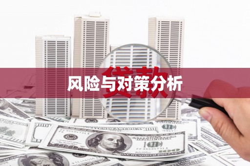 竹南风险与对策分析