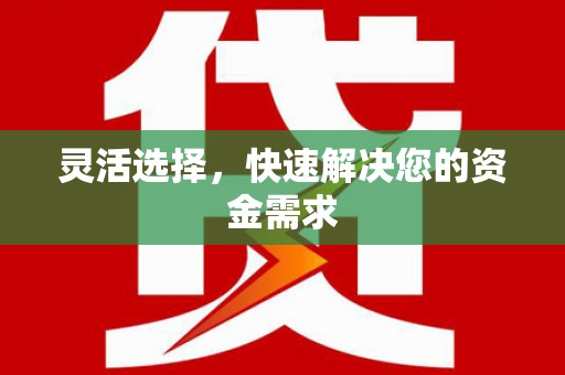 隰县灵活选择，快速解决您的资金需求