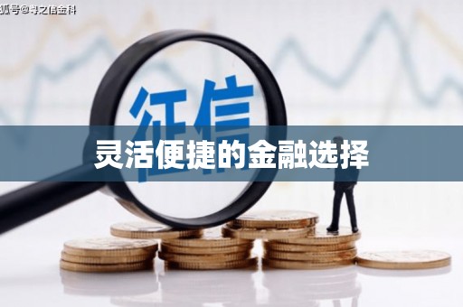 大东灵活便捷的金融选择