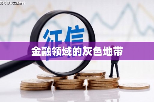 大东金融领域的灰色地带
