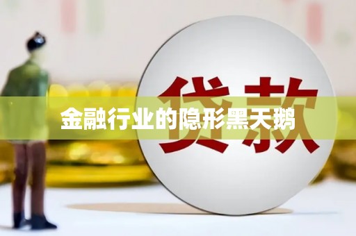 平江金融行业的隐形黑天鹅