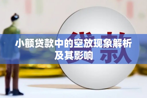 新埤小额贷款中的空放现象解析及其影响