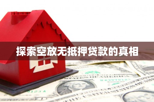 芬园探索空放无抵押贷款的真相