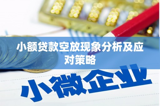 坦洲小额贷款空放现象分析及应对策略