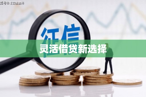 遂平灵活借贷新选择