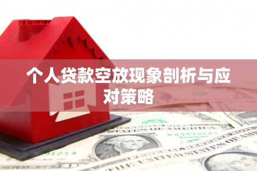 金山个人贷款空放现象剖析与应对策略