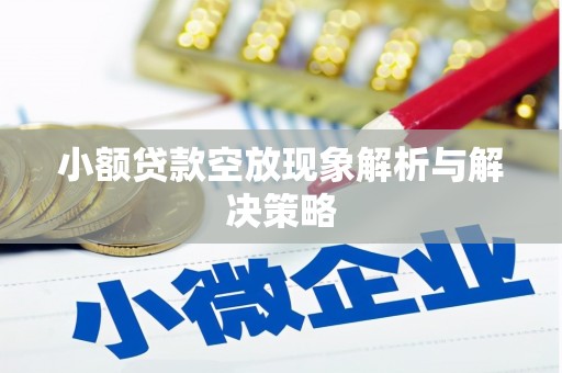 沈河小额贷款空放现象解析与解决策略