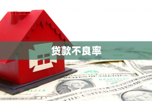 民勤贷款不良率