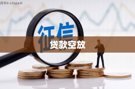 金州贷款空放