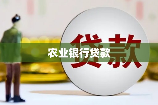 武威农业银行贷款